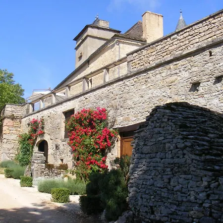 Chateau De Laumiere *