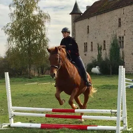 Chateau De Laumiere Oda ve Kahvaltı Promilhanes