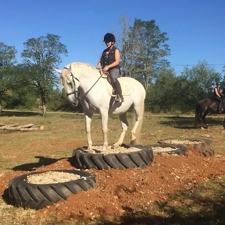 Oda ve Kahvaltı Chateau De Laumiere Promilhanes