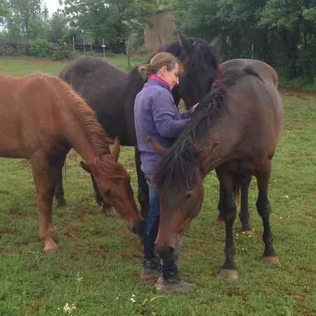 לינה וארוחת בוקר Chateau De Laumiere Promilhanes