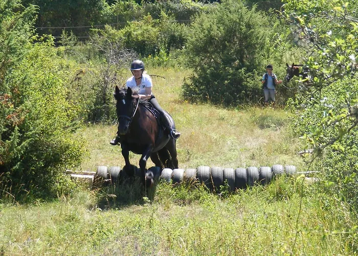 Couette-café Chateau De Laumiere