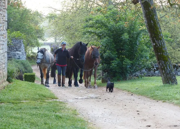 Chateau De Laumiere Promilhanes